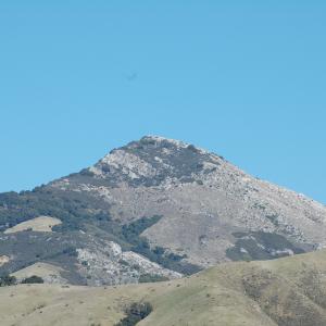 DSC 1434