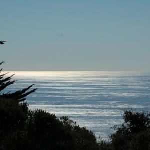 DSC 1484