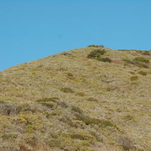 DSC 1549