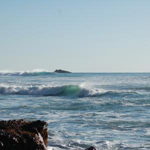 DSC 1566