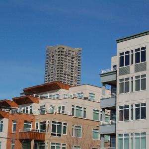 DSC 2536
