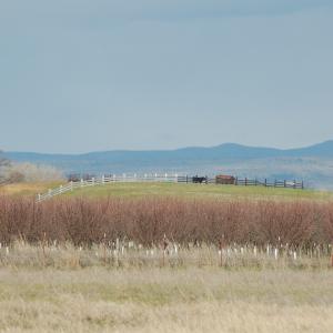 DSC 2695