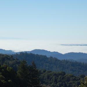 DSC 2774