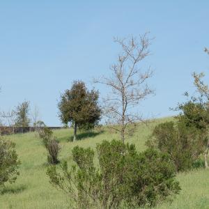 DSC 2856