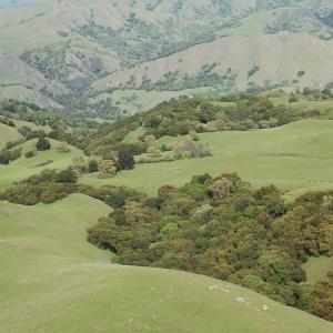 DSC 3011