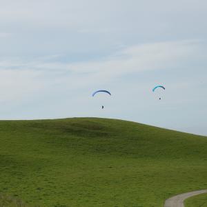 DSC 3026