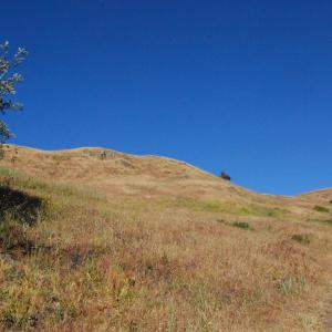 DSC 0096