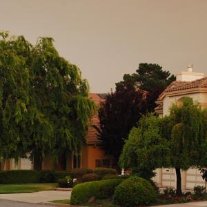 DSC 0037