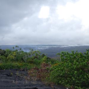 DSC 0001
