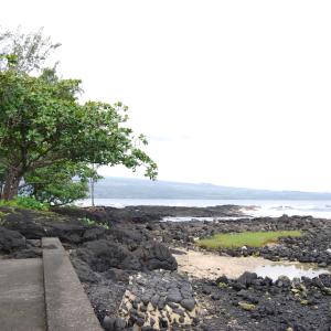 DSC 0045