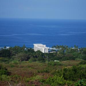 DSC 0192