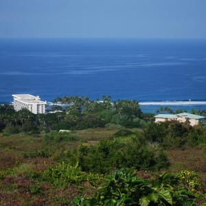 DSC 0194