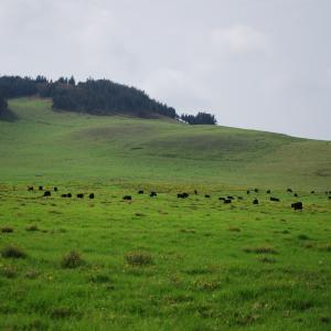 DSC 0215