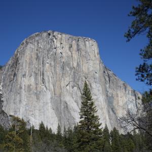 IMG 0461