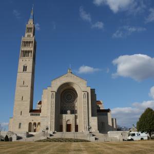 IMG 0711