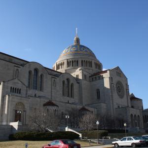 IMG 0719