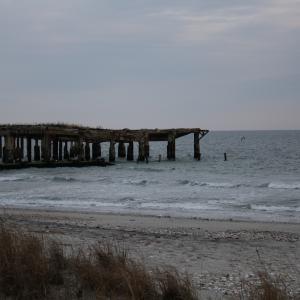 IMG 0786