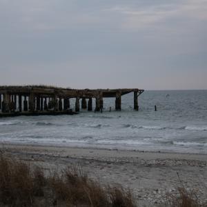 IMG 0786s