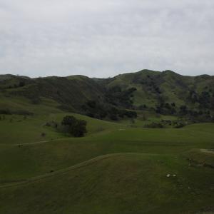 IMG 0989