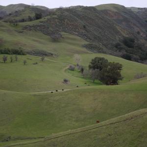 IMG 0994