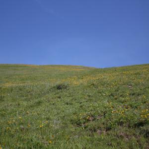 IMG 1740