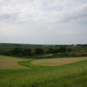 IMG 3019