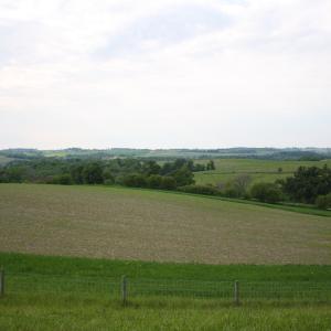 IMG 3030