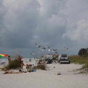 IMG 3542