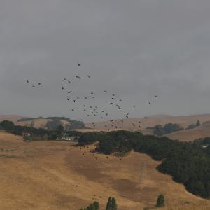 IMG 3708