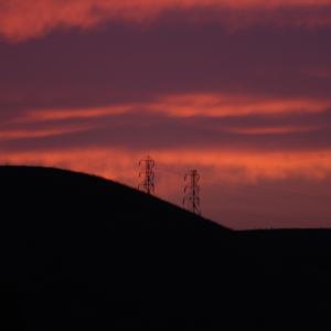 IMG 4097