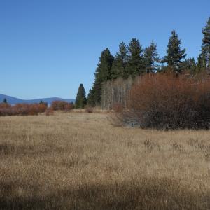 IMG 4695