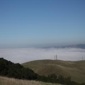 IMG 4717