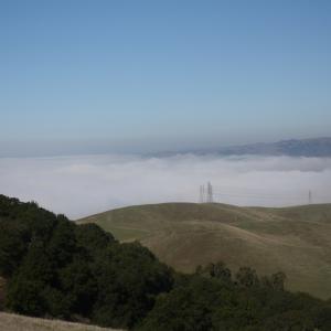 IMG 4731
