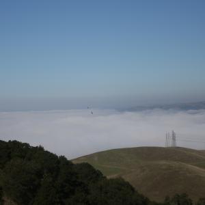 IMG 4740
