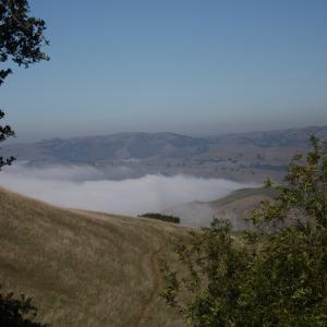 IMG 4757