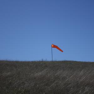 IMG 4795