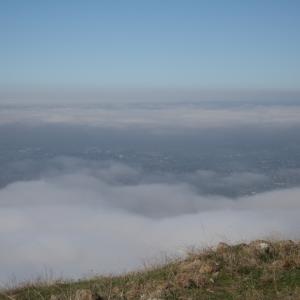 IMG 4831