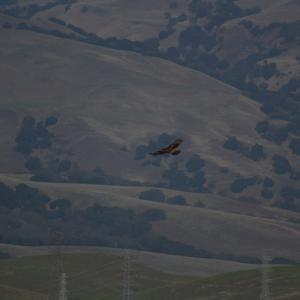 IMG 4869