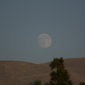 IMG 4987