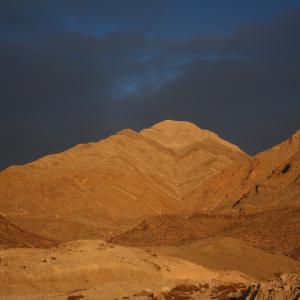 IMG 5574