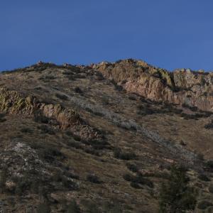 IMG 5868