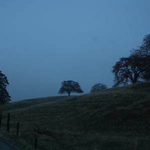 IMG 5973