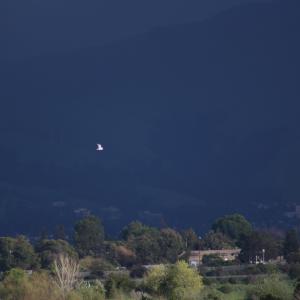 IMG 6394