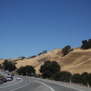 IMG 8041