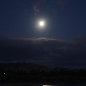 IMG 8319s