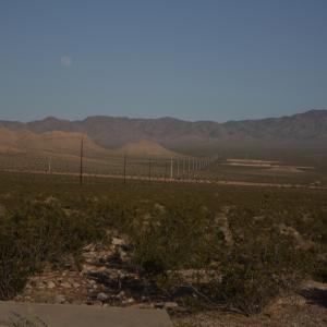 IMG 0107