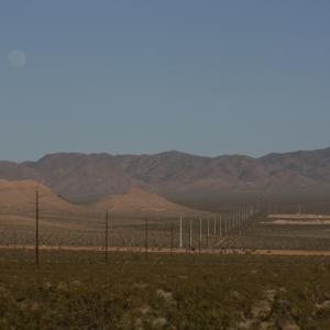 IMG 0131