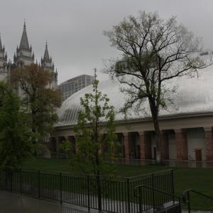 IMG 0305