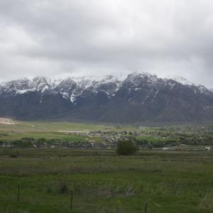 IMG 0311