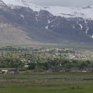 IMG 0344